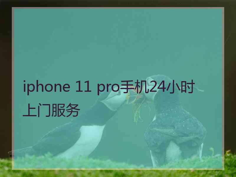 iphone 11 pro手机24小时上门服务