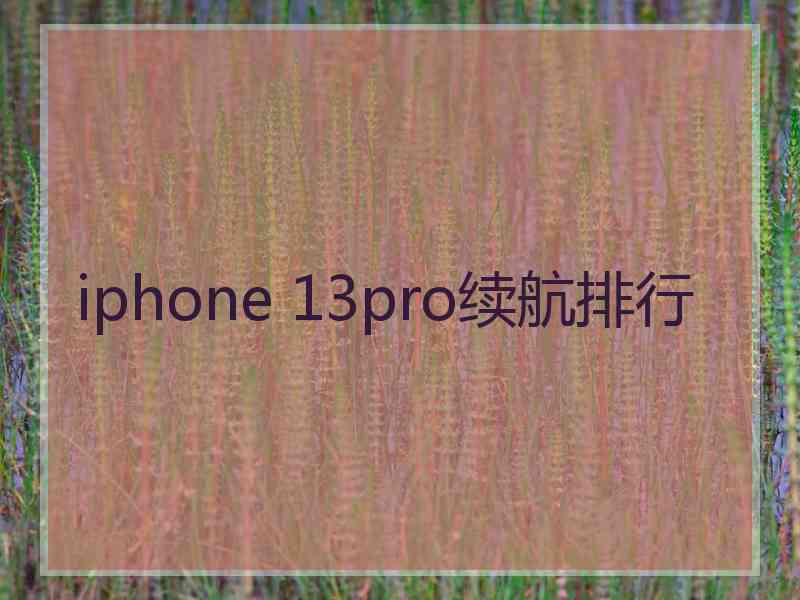 iphone 13pro续航排行