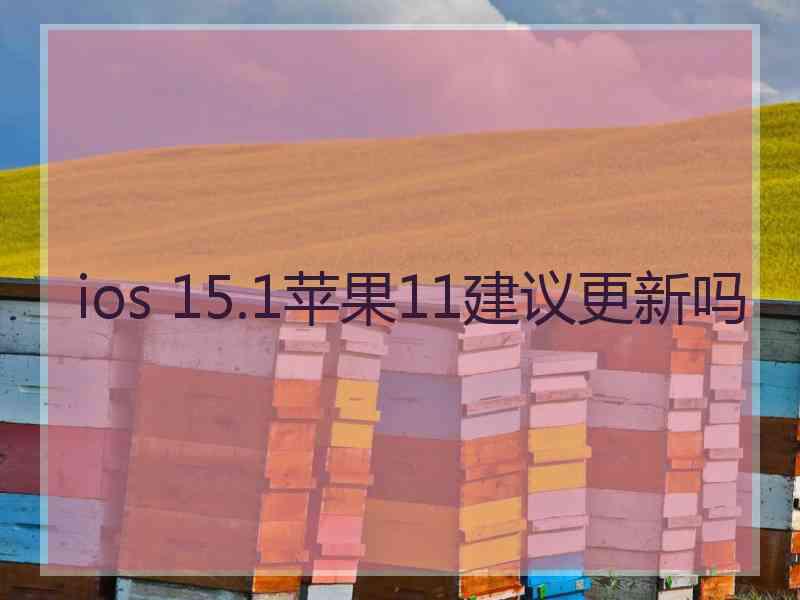 ios 15.1苹果11建议更新吗