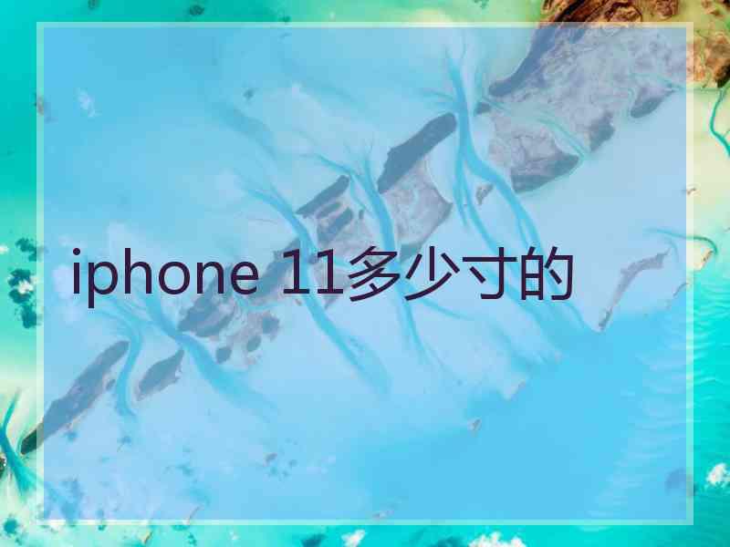 iphone 11多少寸的