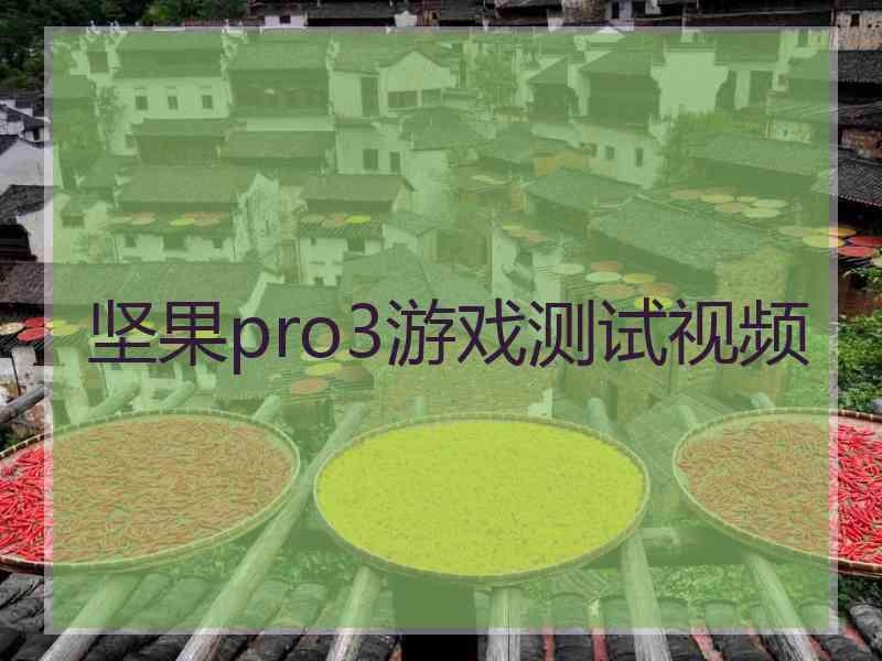 坚果pro3游戏测试视频