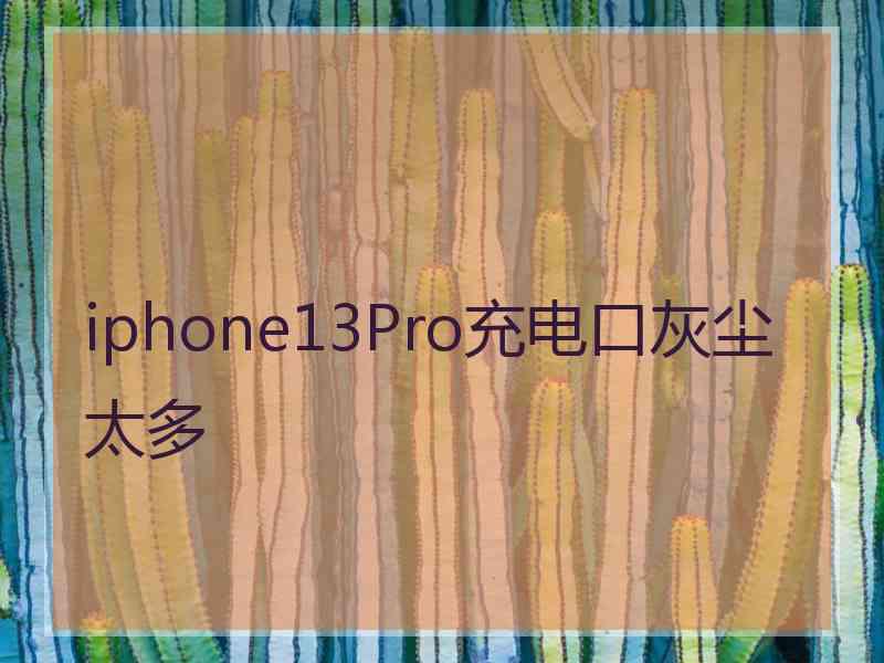 iphone13Pro充电口灰尘太多