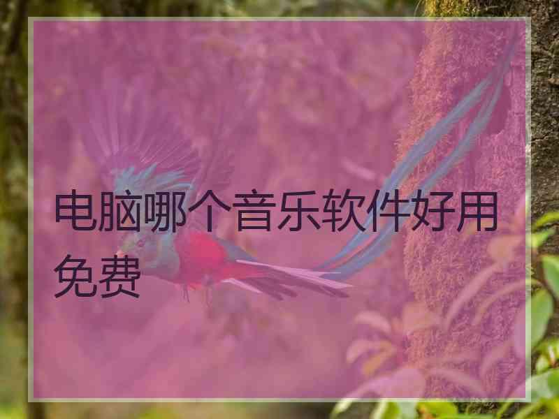 电脑哪个音乐软件好用免费