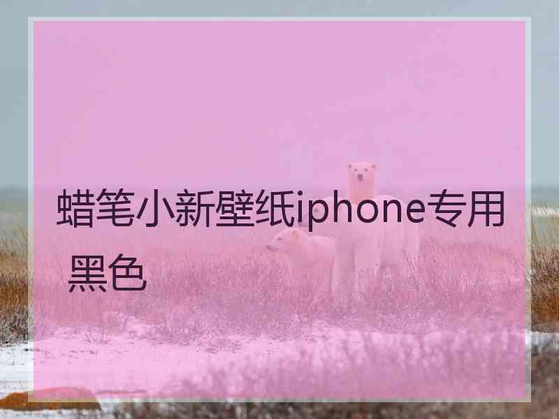 蜡笔小新壁纸iphone专用 黑色