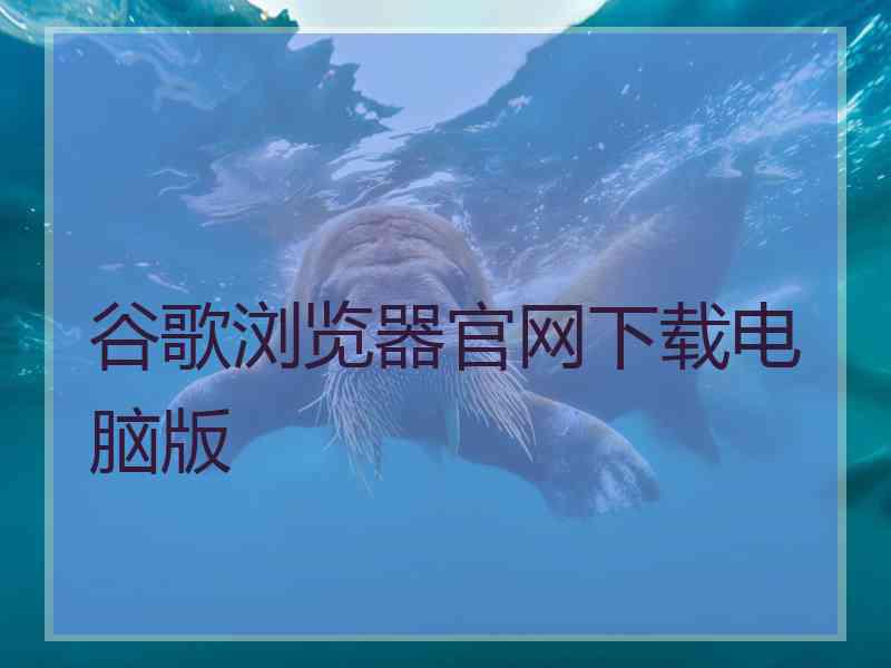 谷歌浏览器官网下载电脑版