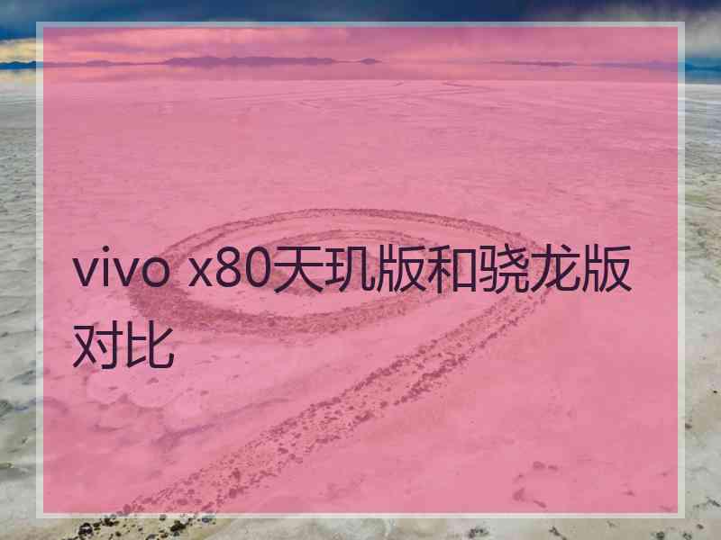 vivo x80天玑版和骁龙版对比