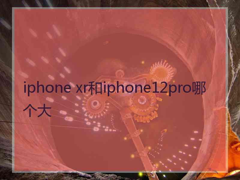 iphone xr和iphone12pro哪个大