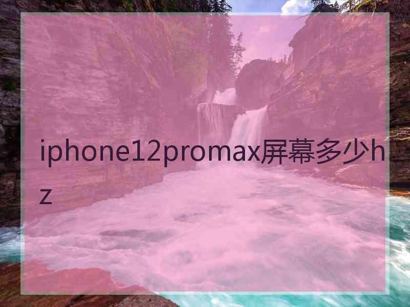 iphone12promax屏幕多少hz