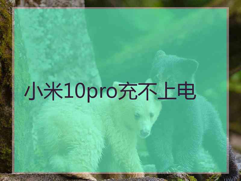 小米10pro充不上电