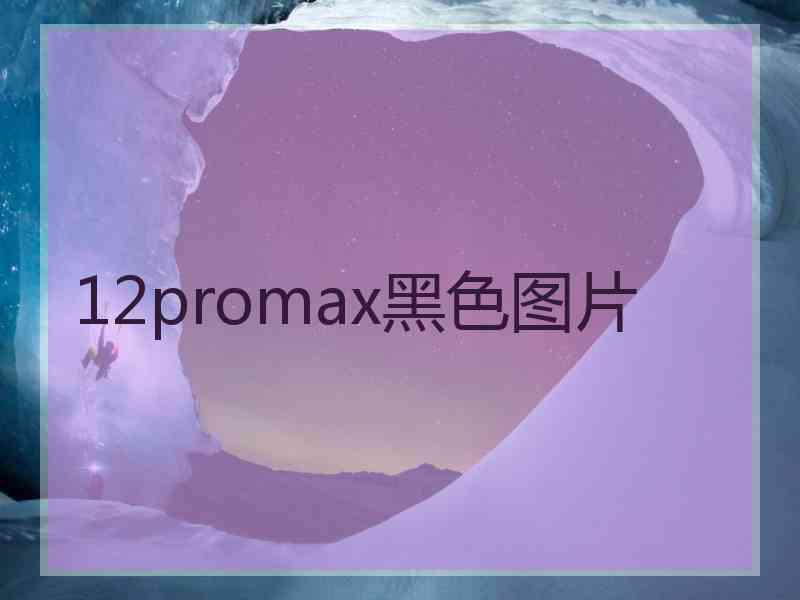 12promax黑色图片