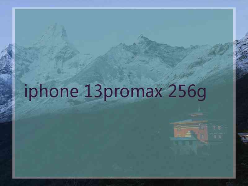 iphone 13promax 256g