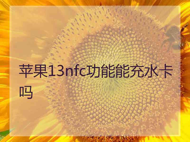 苹果13nfc功能能充水卡吗