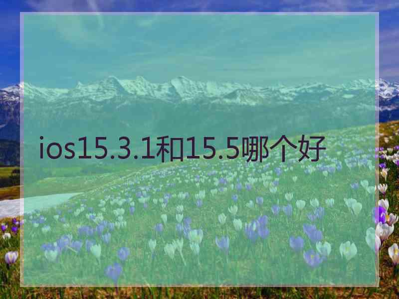 ios15.3.1和15.5哪个好