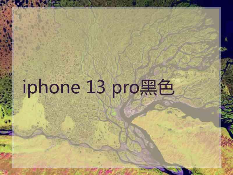 iphone 13 pro黑色