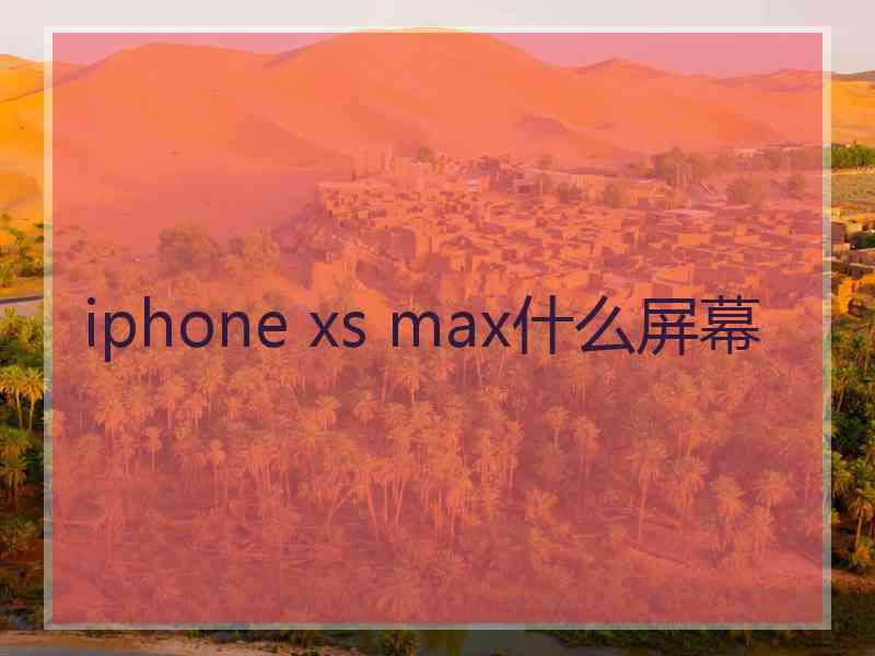 iphone xs max什么屏幕