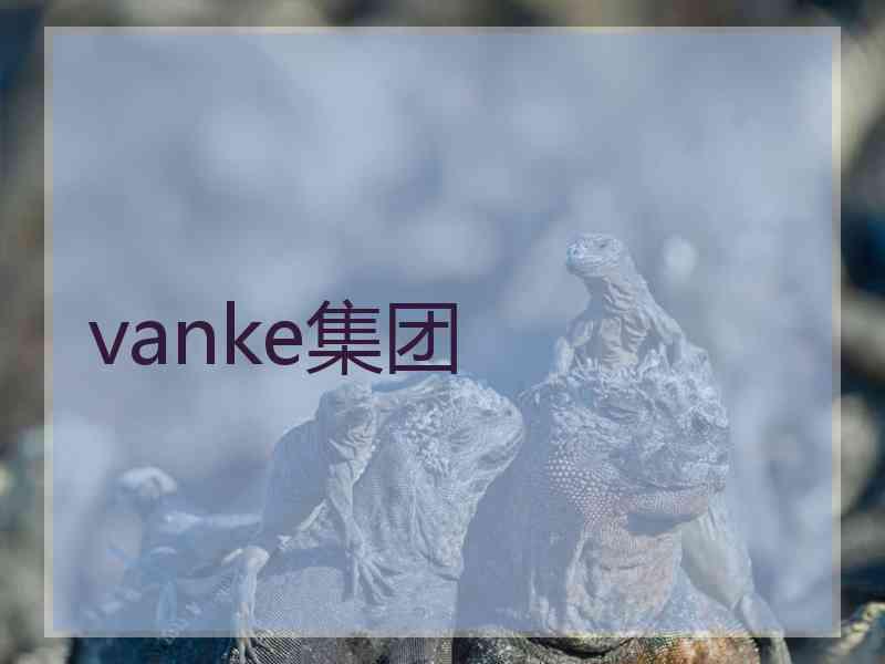 vanke集团