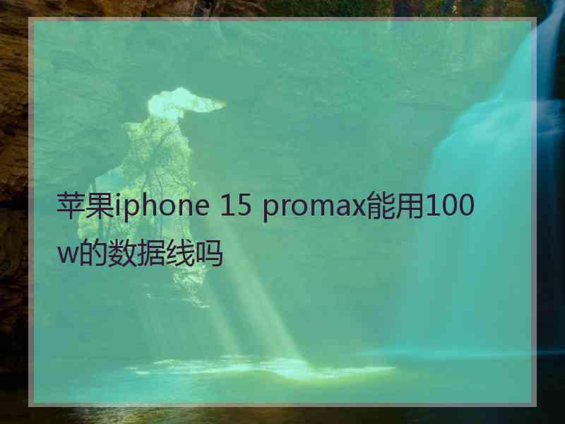 苹果iphone 15 promax能用100w的数据线吗