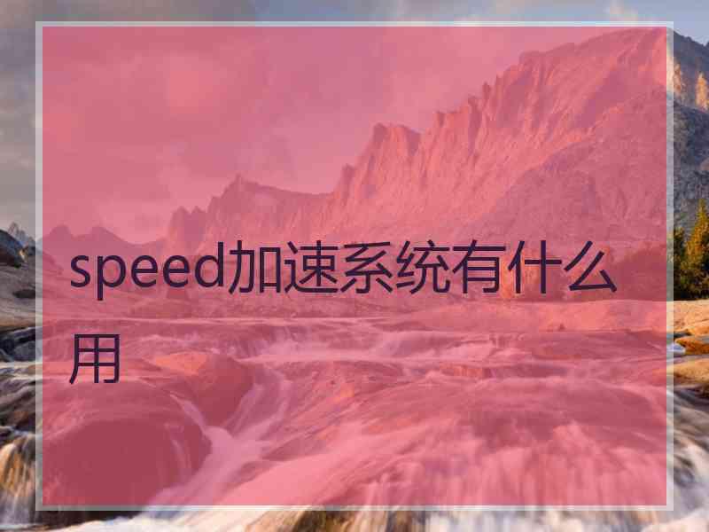 speed加速系统有什么用