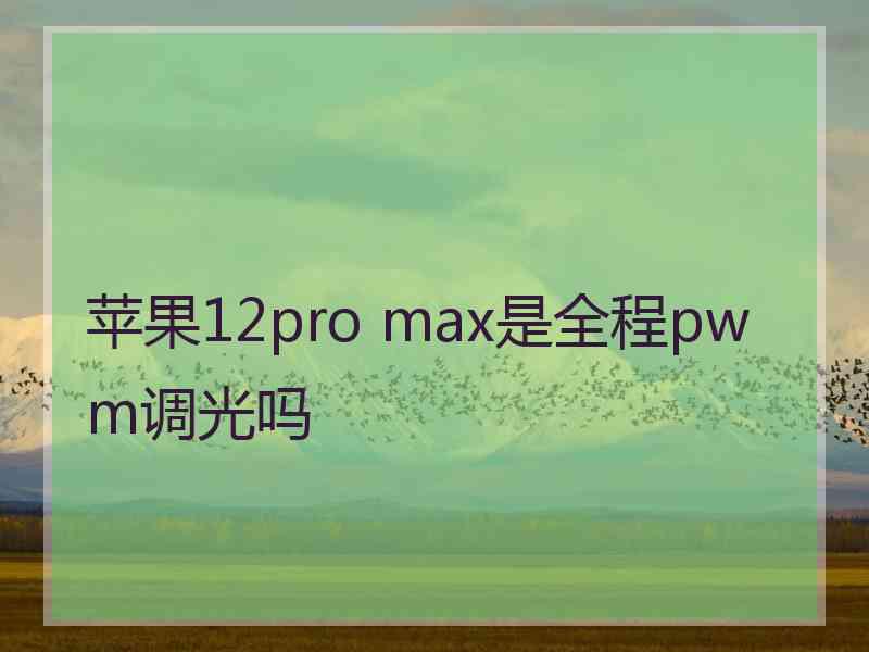 苹果12pro max是全程pwm调光吗