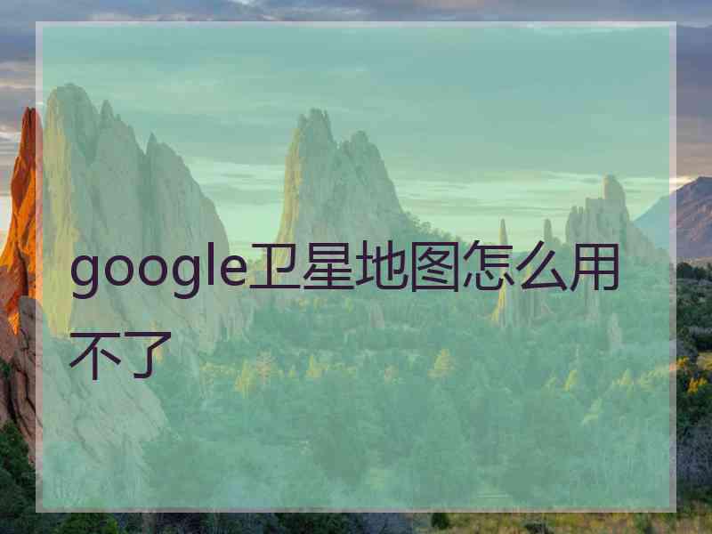 google卫星地图怎么用不了