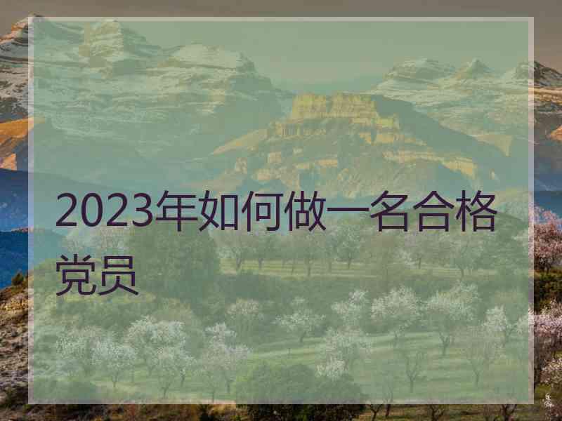 2023年如何做一名合格党员