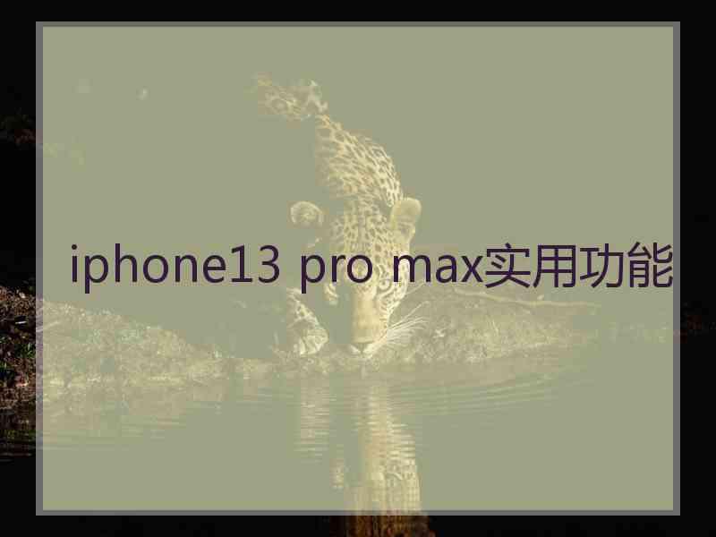 iphone13 pro max实用功能