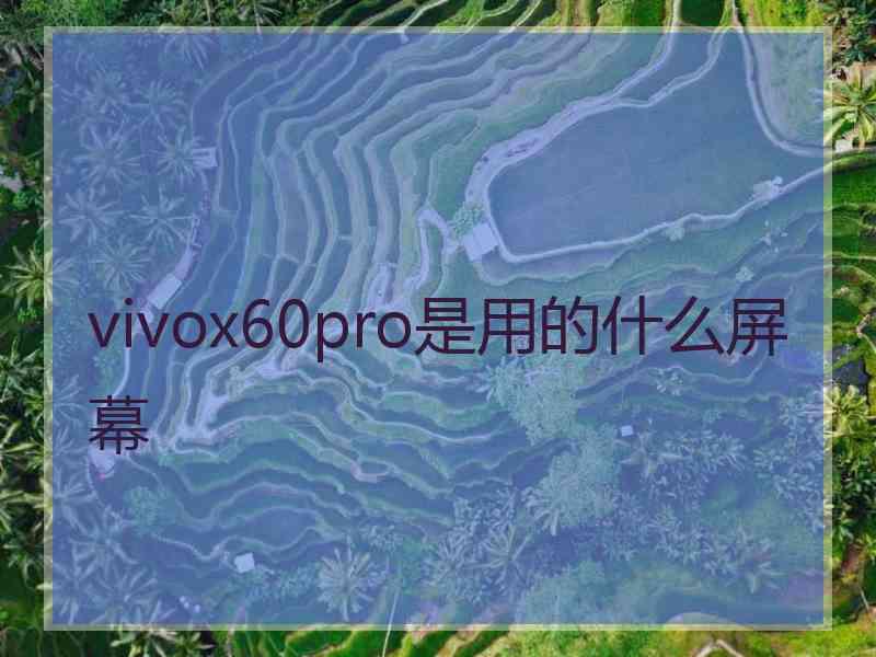 vivox60pro是用的什么屏幕