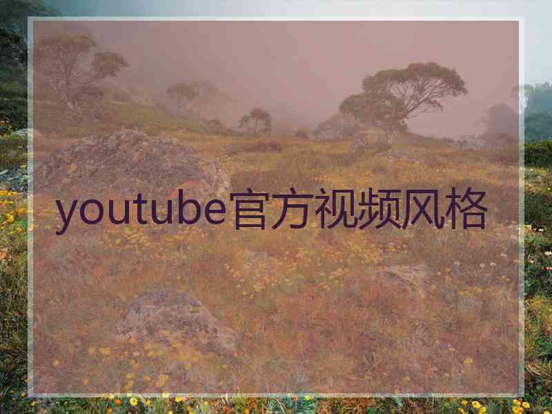 youtube官方视频风格