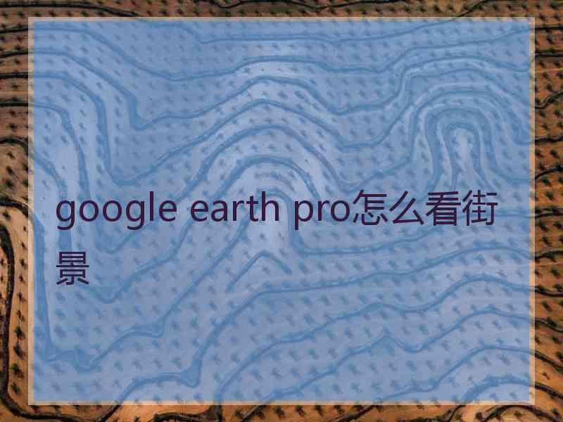 google earth pro怎么看街景