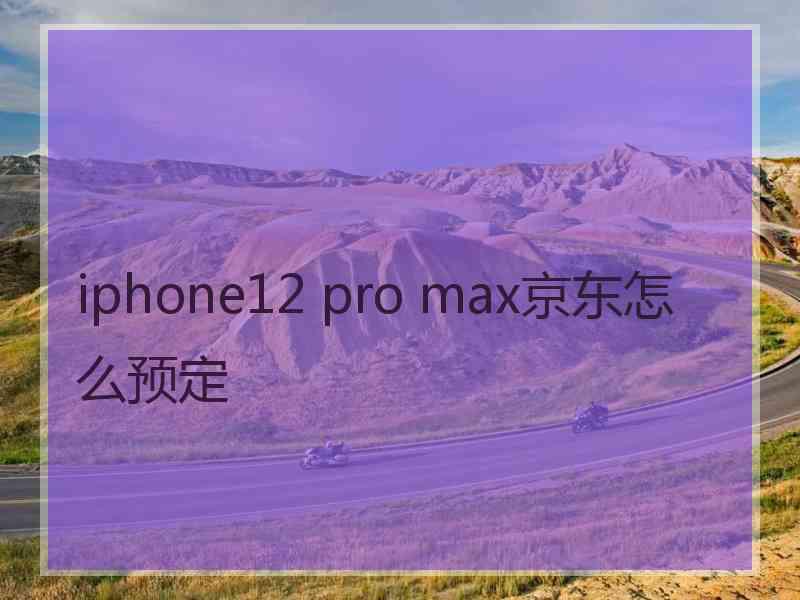 iphone12 pro max京东怎么预定