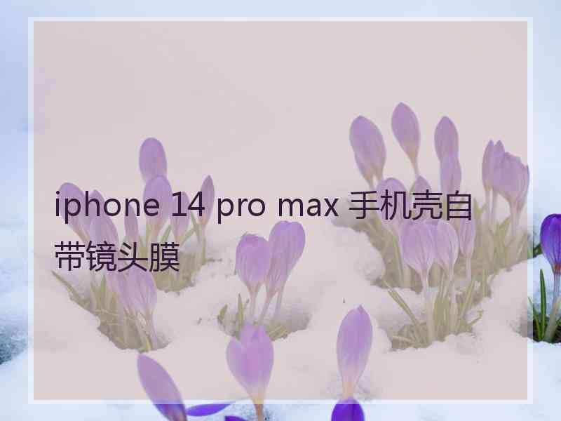 iphone 14 pro max 手机壳自带镜头膜