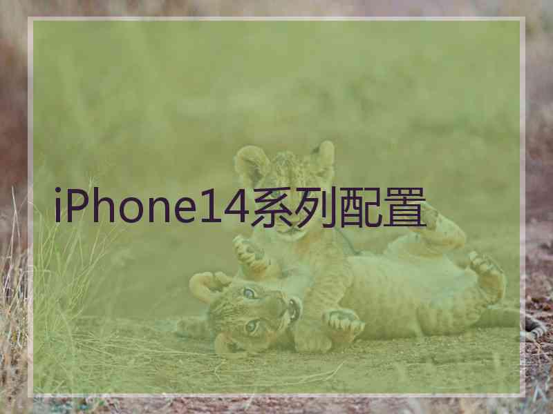 iPhone14系列配置