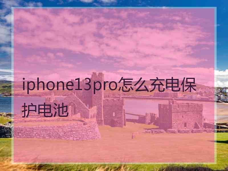 iphone13pro怎么充电保护电池