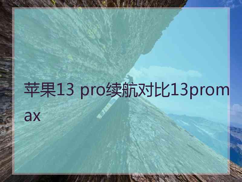 苹果13 pro续航对比13promax