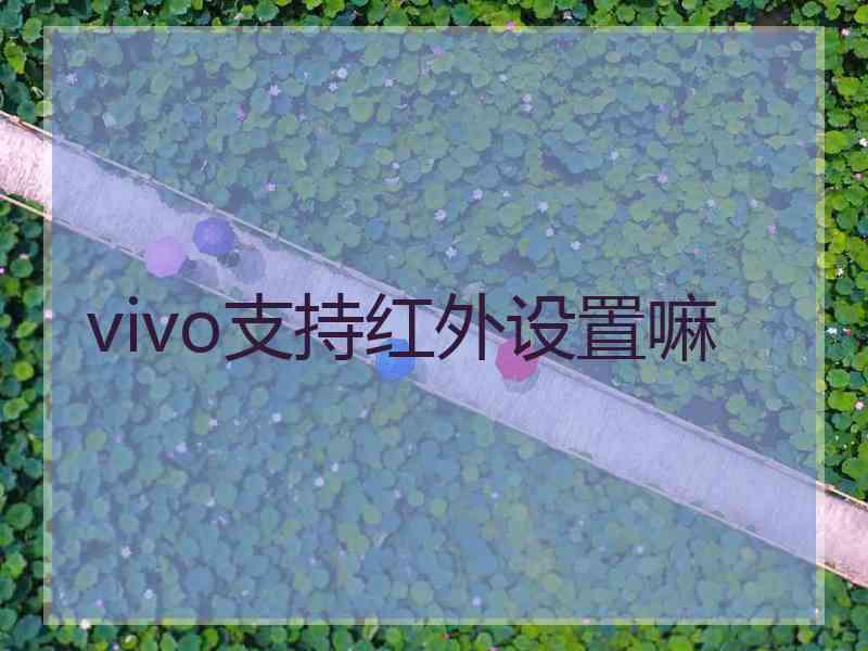 vivo支持红外设置嘛