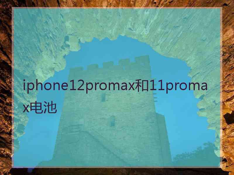 iphone12promax和11promax电池