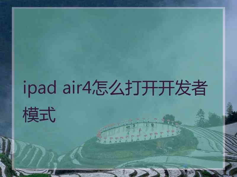 ipad air4怎么打开开发者模式