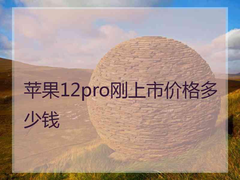 苹果12pro刚上市价格多少钱