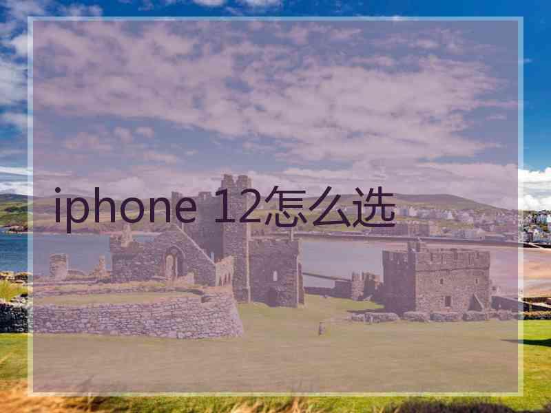 iphone 12怎么选