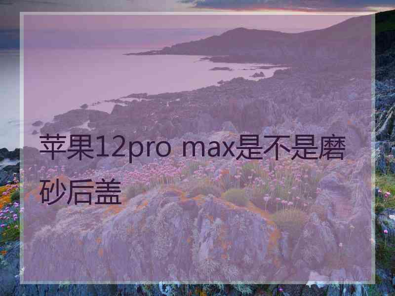 苹果12pro max是不是磨砂后盖