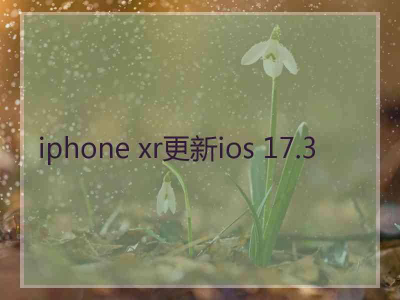 iphone xr更新ios 17.3