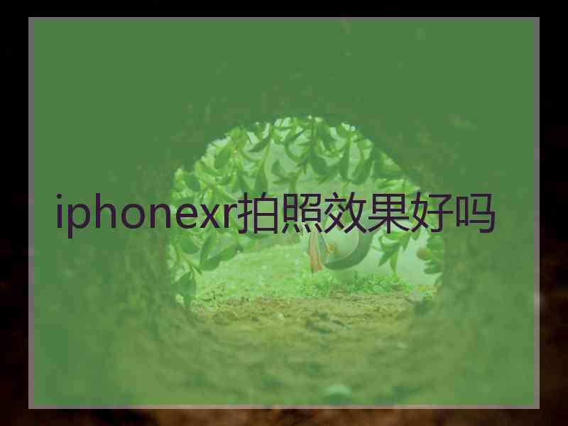 iphonexr拍照效果好吗