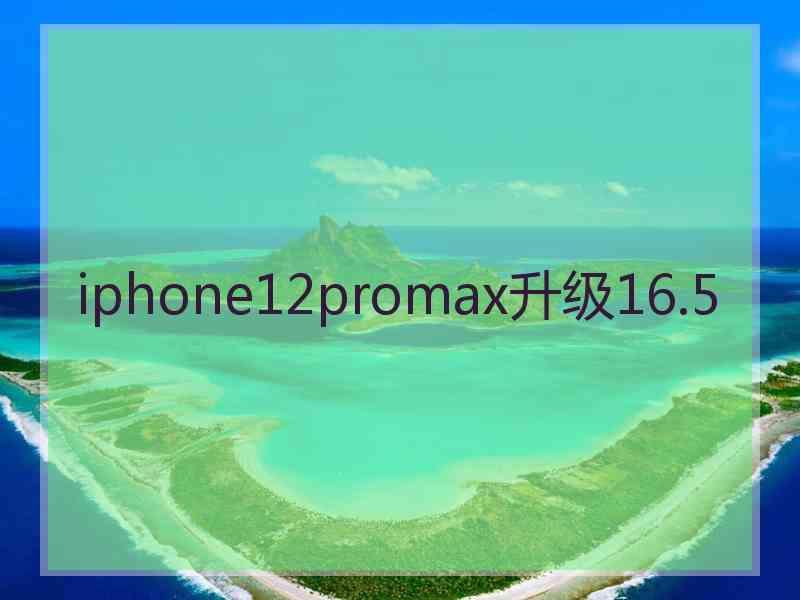 iphone12promax升级16.5