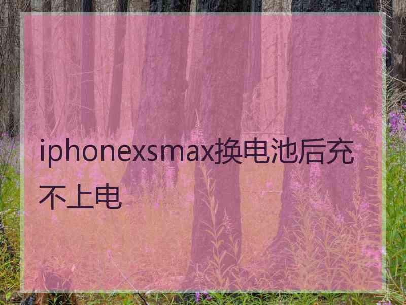 iphonexsmax换电池后充不上电