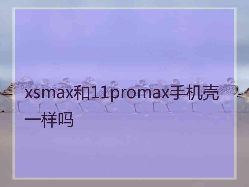 xsmax和11promax手机壳一样吗