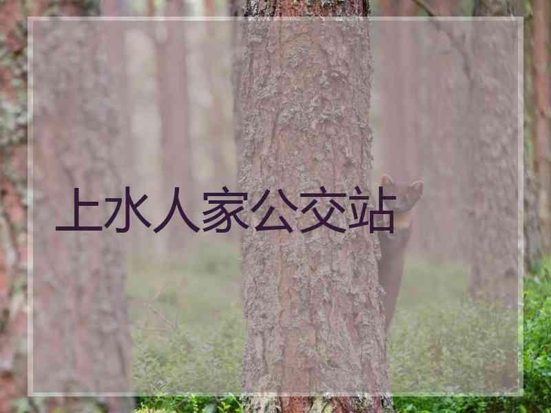 上水人家公交站