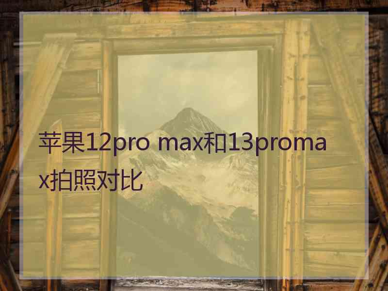 苹果12pro max和13promax拍照对比