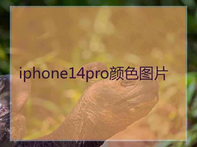 iphone14pro颜色图片