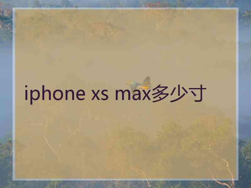 iphone xs max多少寸