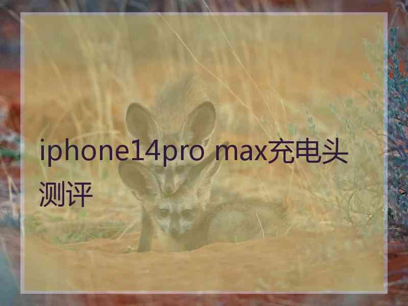 iphone14pro max充电头测评